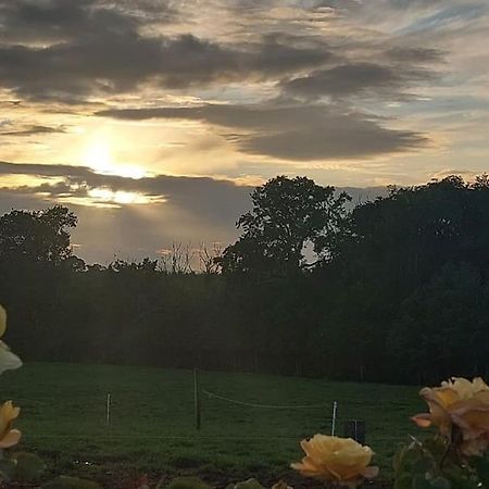 Modern Countryside Apartment Killmallock Lodge Enniscorthy Luaran gambar